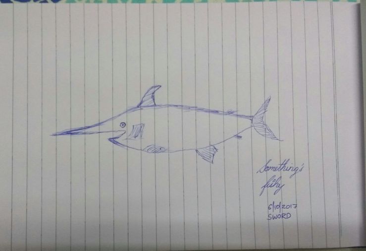 WhatsApp Image 2017-10-07 at 00.47.48.jpeg