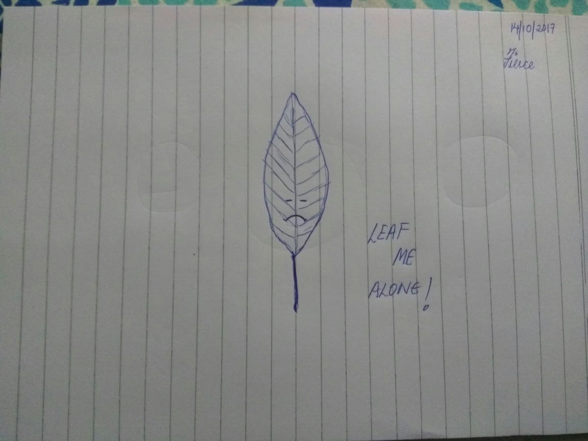 WhatsApp Image 2017-10-15 at 02.35.25.jpeg